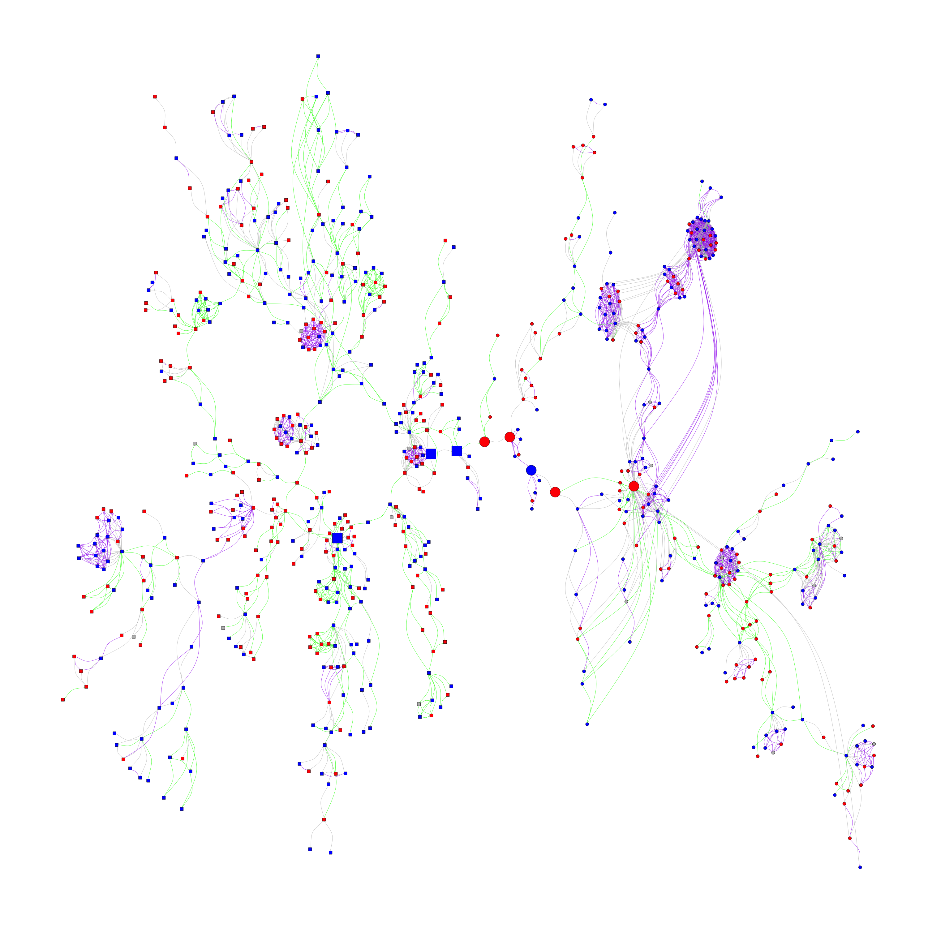 The giant component of Italian sociologists and their coauthors network with two communities (Node colors: Males = blue, Females = red, Tie colors: Within Italians = green, Within non-Italians = purple, Between Italians and non-Italians = gray, Node shapes: Square = Community 0 (left side of graph), Circle = Community 1 (right side of graph), Node size = Betweenness centrality) (Scopus data)