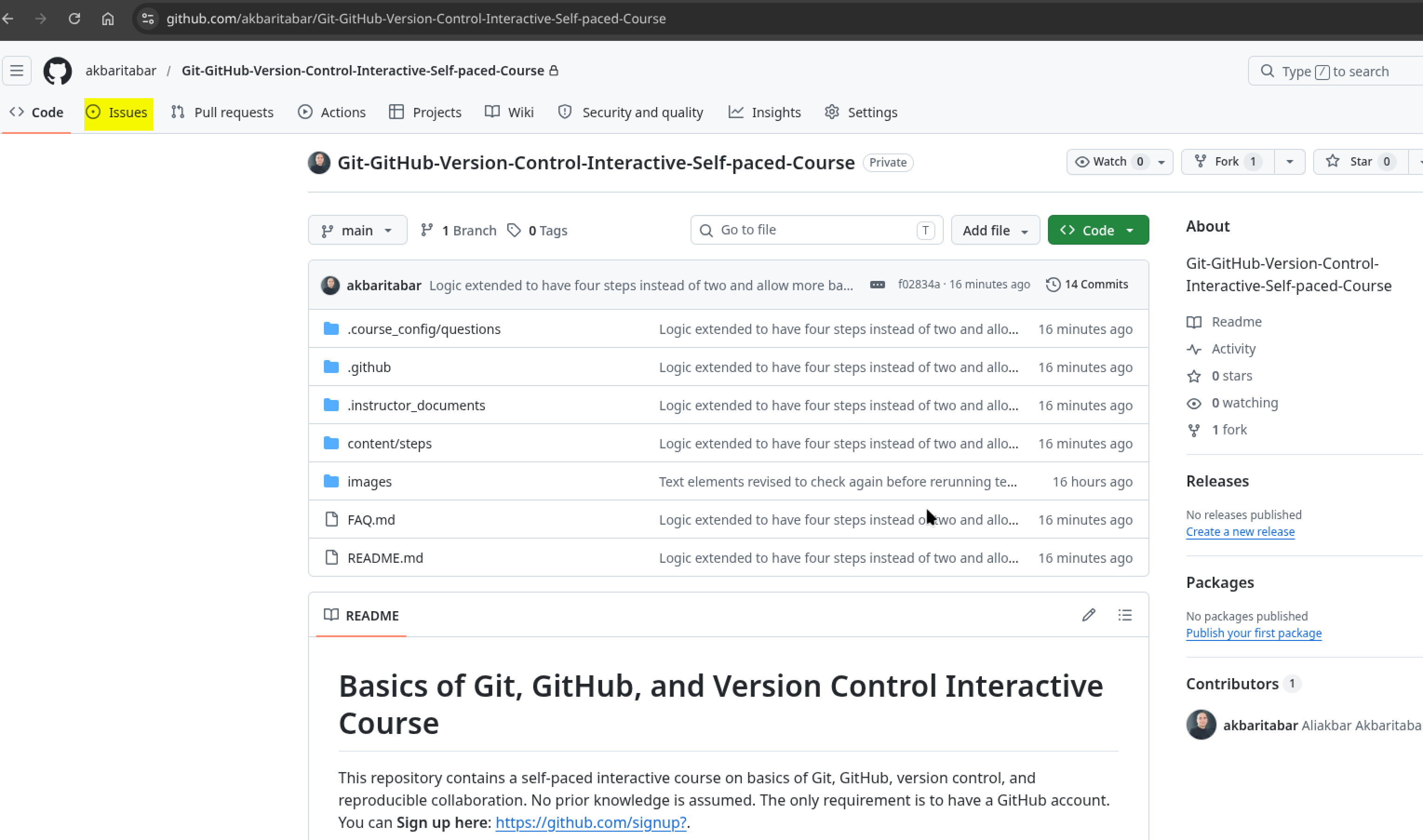Screenshot: Issues tab in the repository navigation bar